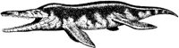 DPM021B.JPG