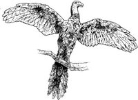 DPM016B.JPG
