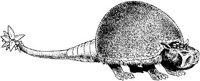 DPM010C.JPG