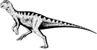 DPM010B.JPG