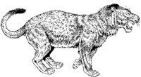 DPM010A.JPG