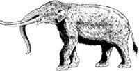 DPM005A.JPG