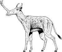 DPM002C.JPG