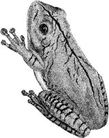AMB202F.JPG