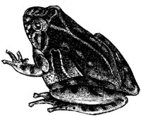 AMB199E.JPG