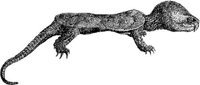 AMB198C.JPG