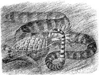 AMB189A.JPG
