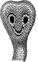 AMB187A.JPG