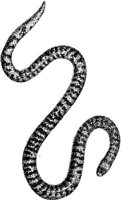 AMB184F.JPG