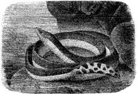 AMB182C.JPG