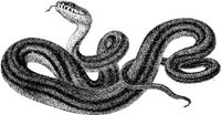 AMB180B.JPG