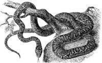 AMB179D.JPG