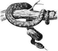 AMB179A.JPG