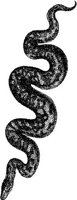 AMB178A.JPG