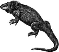 AMB170C.JPG