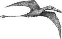 AMB169D.JPG