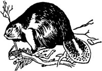 LAC009F.JPG