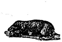EAC026P.JPG