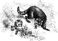 EAA012I.JPG