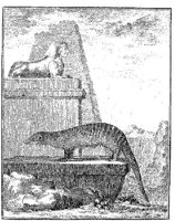 ANI106A.JPG
