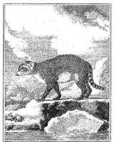 ANI088A.JPG