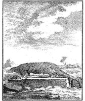 ANI048A.JPG