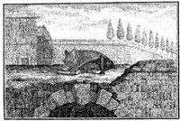 ANI016B.JPG