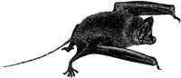 AMB097F.JPG