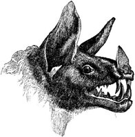 AMB097D.JPG