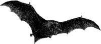 AMB095D.JPG