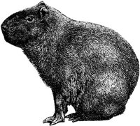 AMB094C.JPG