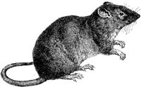 AMB093D.JPG