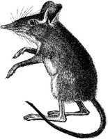 AMB093B.JPG