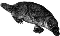 AMB083E.JPG