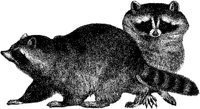 AMB042A.JPG