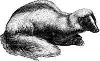 AMB010D.JPG