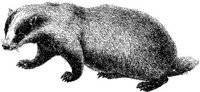 AMB009B.JPG