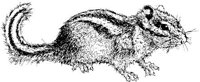AIL014E.JPG
