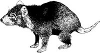 AIL005E.JPG