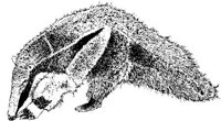 AIL004A.JPG