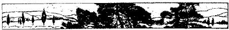 WMG029I.JPG