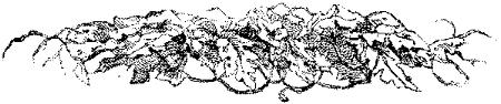 VSI085L.JPG