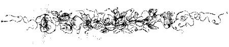 VSI085K.JPG
