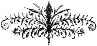 VSI083L.JPG