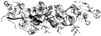 VSI083G.JPG