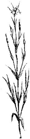 VSI083E.JPG