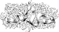 VSI026E.JPG