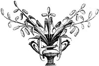 VSI023X.JPG
