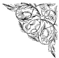 VSI020D.JPG