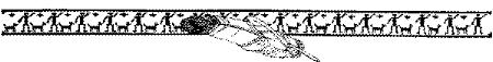 VSC063E.JPG